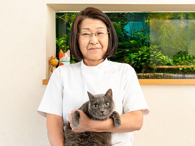 先生